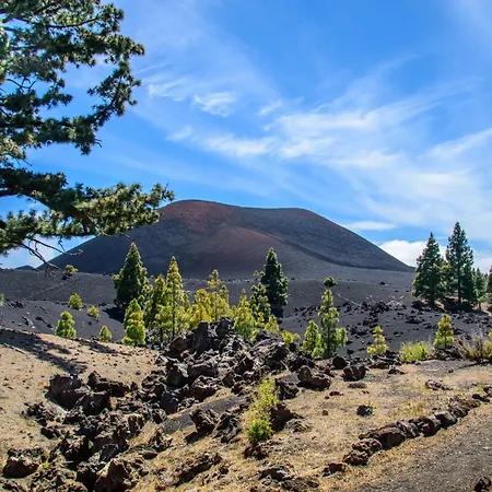 Sweet Laguna With Free Parking Appartement La Laguna (Tenerife)